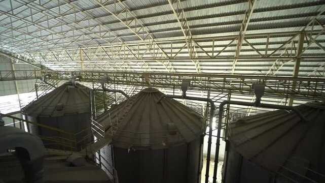 Modern grain elevator terminal in a sea port. Metal tanks and conveyors of grain-drying, handling complex silos in seaport. Wheat loading, shipment and transportation facility.