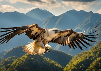 Majestic Philippine Eagle Gliding Above a Rugged Mountain Landscape.