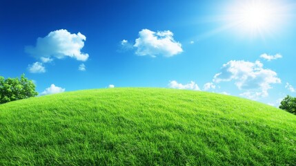 Fototapeta premium A lush green hill with a bright blue sky and fluffy white clouds, bathed in warm sunlight.