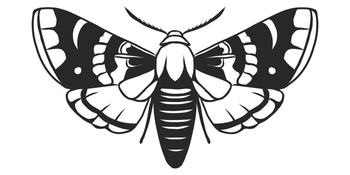 Monochrome black and white moth. Hand drawn butterfly with lacy wings for tattoo sketch, print, logo icon. Fly insect engraving imitation isolated on transparent background