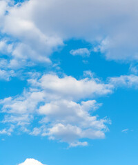 Fototapeta premium A peaceful scene of a blue sky dotted with soft, white cumulus clouds, perfect for backgrounds and design.