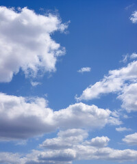 Obraz premium A peaceful scene of a blue sky dotted with soft, white cumulus clouds, perfect for backgrounds and design.