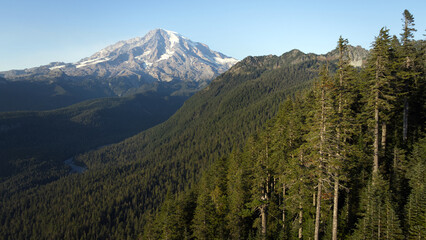 Obraz premium Mount Rainier Towering over Dense Forested Slopes, Washington State, USA