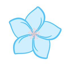 Flower Illustration Vectors 