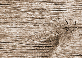 The texture of old brown wood. Tinted image.
