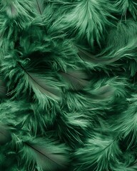 A close-up view of vibrant green feathers, creating a soft and textured background.