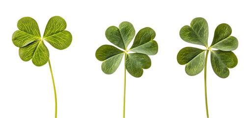 three set green lucky clover and shamrock isolated transparent background