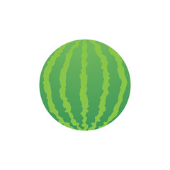 Set of fruits. Summer fruit collection. Fruits watermelon. Vegetarian and ecology food. Vector illustration.