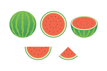 Set of fruits. Summer fruit collection. Fruits watermelon. Vegetarian and ecology food. Watermelon vector pack illustration.