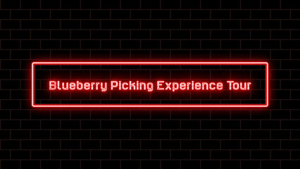 Blueberry Picking Experience Tour のネオン文字