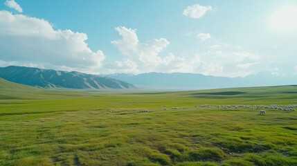 Fototapeta premium landscape with green grass and clouds