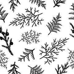 Seamless pattern background with winter christmas holly, spruce branches, twigs with leaves, berries. Floral botanical elements. Hand drawn line vector illustration.