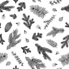 Seamless pattern background with winter christmas holly, spruce branches, twigs with leaves, berries. Floral botanical elements. Hand drawn line vector illustration.