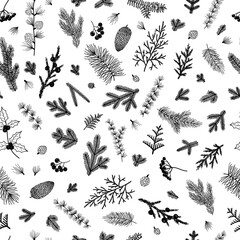 Seamless pattern background with winter christmas holly, spruce branches, twigs with leaves, berries. Floral botanical elements. Hand drawn line vector illustration.
