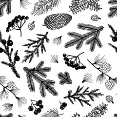 Seamless pattern background with winter christmas holly, spruce branches, twigs with leaves, berries. Floral botanical elements. Hand drawn line vector illustration.