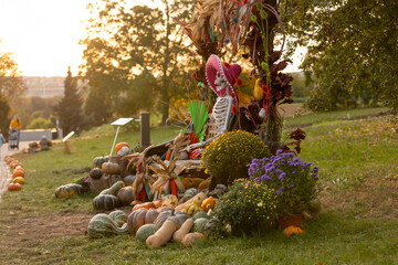 Pumpkin exhibition in garden on sunset in Czech Republic