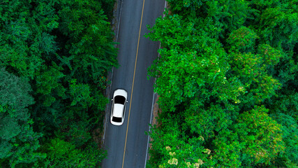 Aerial view of dark green forest road and white electric car Natural landscape and elevated roads...