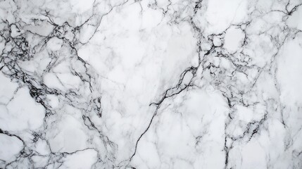 White marble texture with black veins.