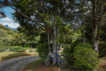 Bicycle Resting Under Trees in Brazil's Countryside