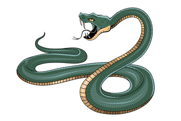 Obraz premium Snake illustration. Tattoo elements of snake skin. Vector illustration sketch of a traditional Chinese mythical animal. Green snake