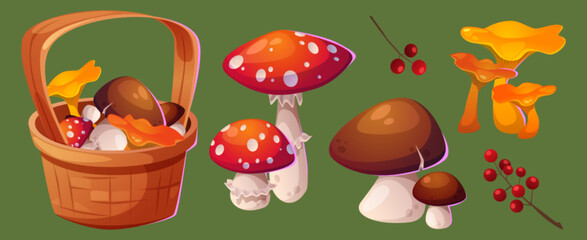 Wicker basket with autumn mushrooms and berries. Cartoon vector illustration set of fall edible and poisonous season plants - porcini fungus, fly agaric and chanterelles, red small fruits on branch.