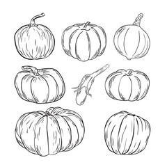 Set of hand drawn pumpkins. Sketch style icon. Decor element. Isolated on white background. Flat design. Vector illustration.