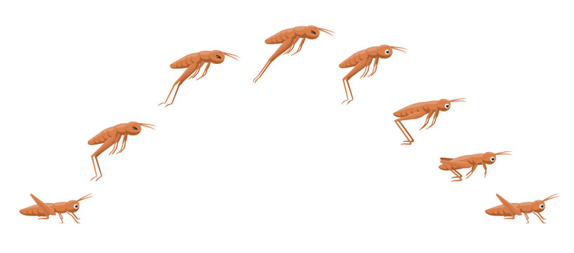 Cricket Jumping Leaping Animation Frame Cute Cartoon Vector Character