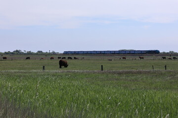 Blick auf die Küstenlandschaft der Insel Sylt bei Keitum