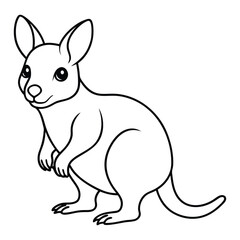  Wallaby cartoon