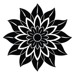 illustration of a flower