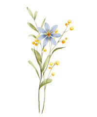 Flowers watercolor, floral clip art. Bouquet perfectly for printing design on invitations, cards, posters, wall art and other. Isolated on white background. Hand painting.