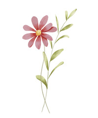 Flower watercolor, floral clip art. Illustration perfectly for printing design on invitations, cards, posters, wall art and other. Isolated on white background. Hand painting.