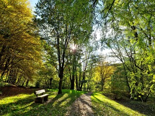 Obraz premium Herbstlich anmutende Lichtstimmung im Park