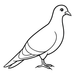 illustration of a dove