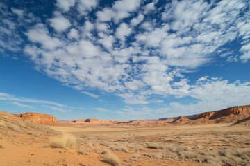 Fototapeta premium Sand dunes desert in Oman