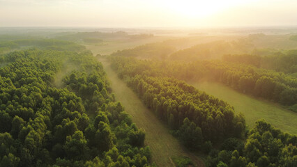 Scenic sunrise over dense green woods, aerial view