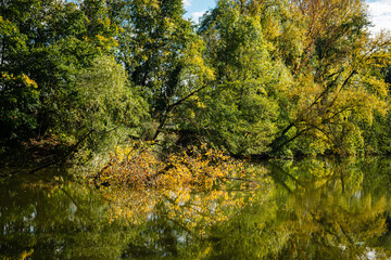 Automne au bord de l'eau