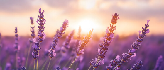 Obraz premium Breathtaking Natural Landscapes: Vibrant Sunsets, Serene Forests, and Colorful Ocean Views with Stunning Skies and Tranquil