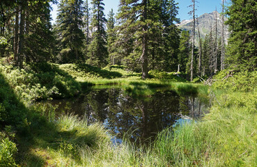 Gebirgslandschaft in den österreichischen Alpen