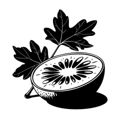 Honeydew fruit silhouette vector  illustration 