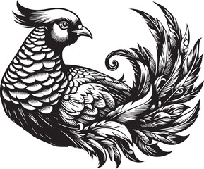 Golden pheasant vector
