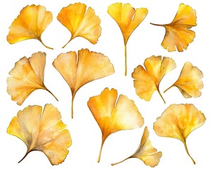 Naklejka premium Soft Golden Watercolor Ginkgo Leaves on White Background Capturing the Unique Fan Shape and Autumnal Beauty
