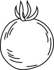 Tomato black and white on white background. Vector illustration.
