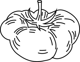 Tomato black and white on white background. Vector illustration.