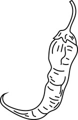 Bell pepper black and white on white background. Vector illustration.