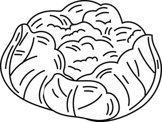 Cabbage black and white on white background. Vector illustration.