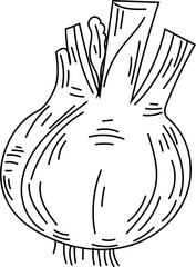 Onion black and white on white background. Vector illustration.