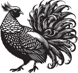 Golden pheasant vector