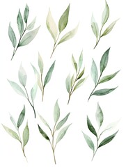 Delicate Watercolor Willow Leaves in Flowing Elegant Pattern on White Background