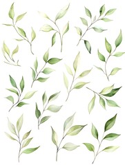 Fototapeta premium Graceful Watercolor Willow Leaves in Flowing Floral Pattern on Pristine White Background